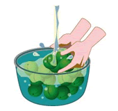 氷砂糖で漬ける梅シロップ（梅ジュース）の作り方 2(水洗い)